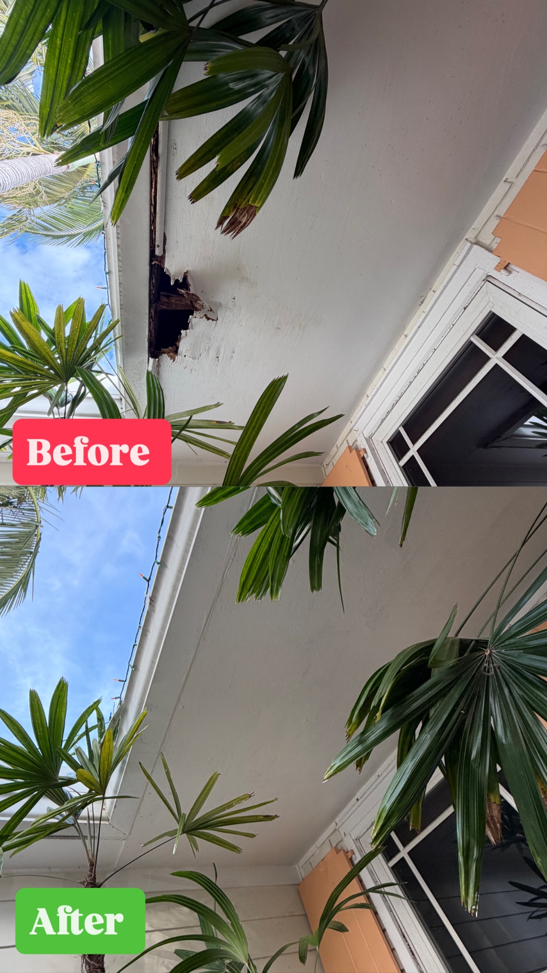 Soffit & Fascia Wood Rot Repair
